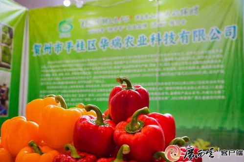 桂字號農業(yè)品牌西安推介會 廣西初級農產品閃耀古城