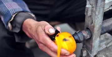 鄉(xiāng)村旅游規(guī)劃設計 賺取農業(yè)行業(yè)90%收入的初級農產品模式探索